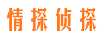 惠东外遇出轨调查取证